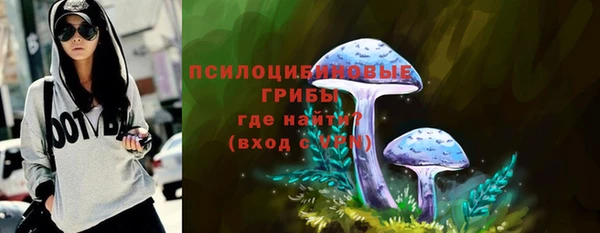 сатива Армянск