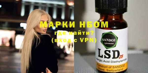 индика Арсеньев