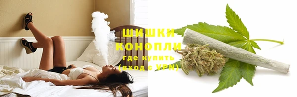 индика Арсеньев