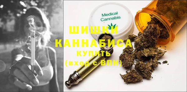 индика Арсеньев