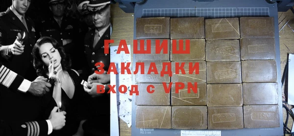 индика Арсеньев