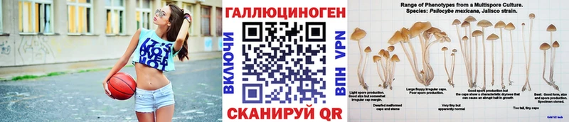 как найти   Малмыж  OMG как зайти  Галлюциногенные грибы прущие грибы 